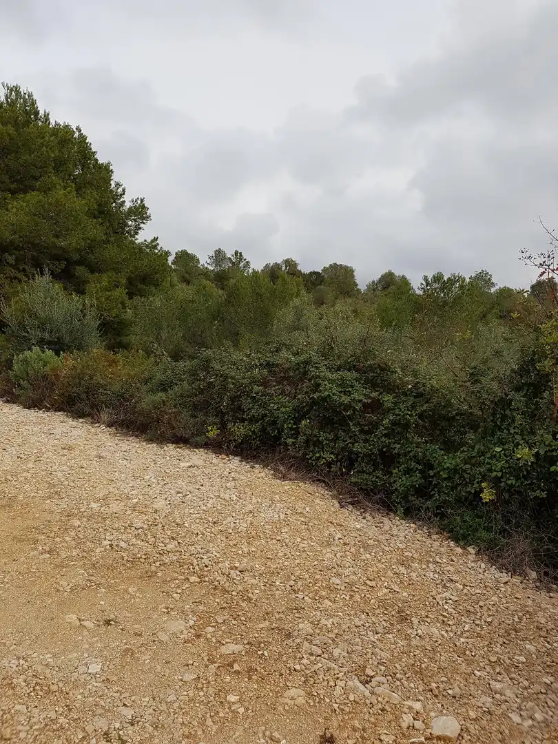 Terreny residencial en venda a Carrer Vallès 5, imagen 6