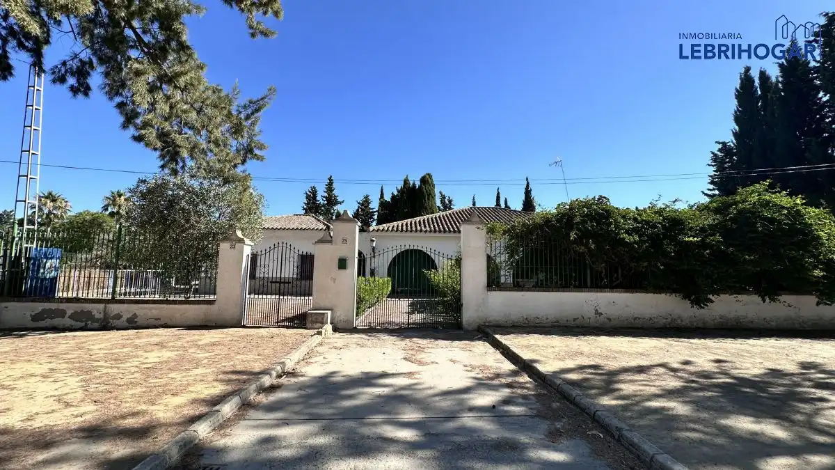 Vista exterior de Casa o chalet en venta en Lebrija con Terraza