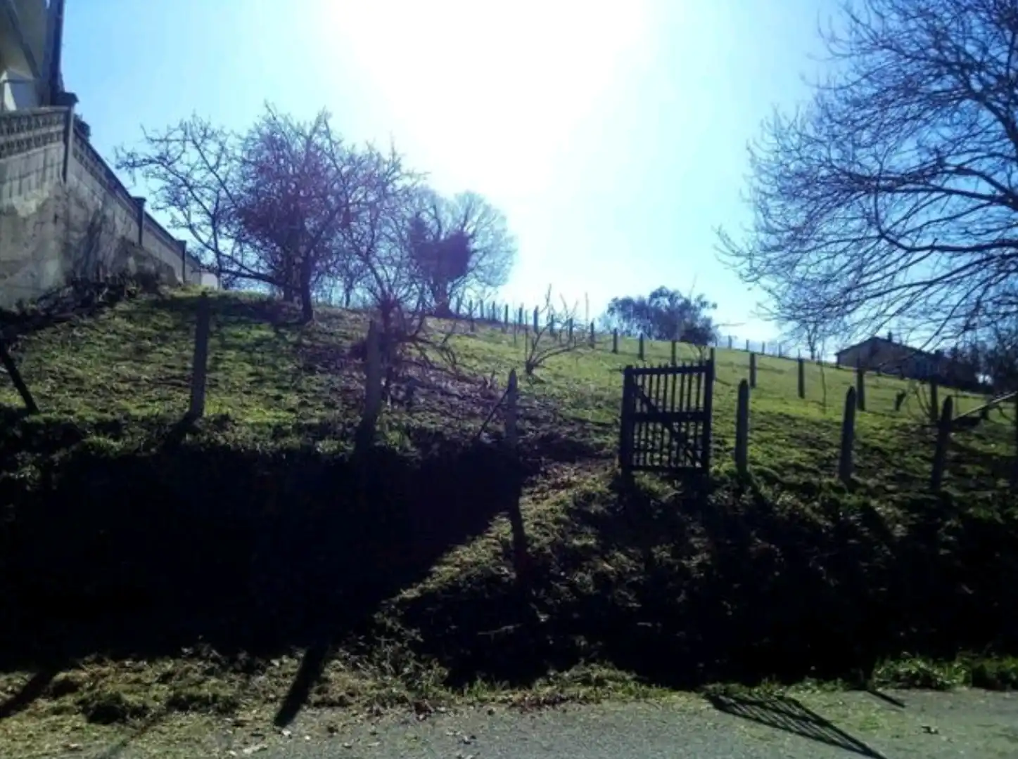 Land for sale in Ciaño - Zona Rural