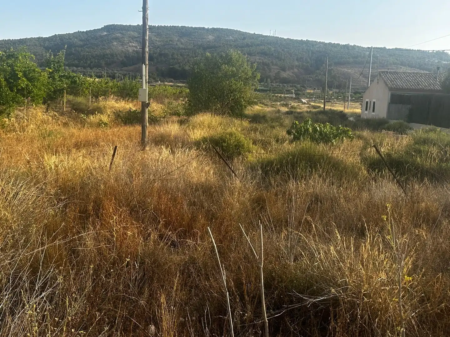 Wohnbaugrundstück zum Verkauf in El Pinós / Pinoso, imagen 5