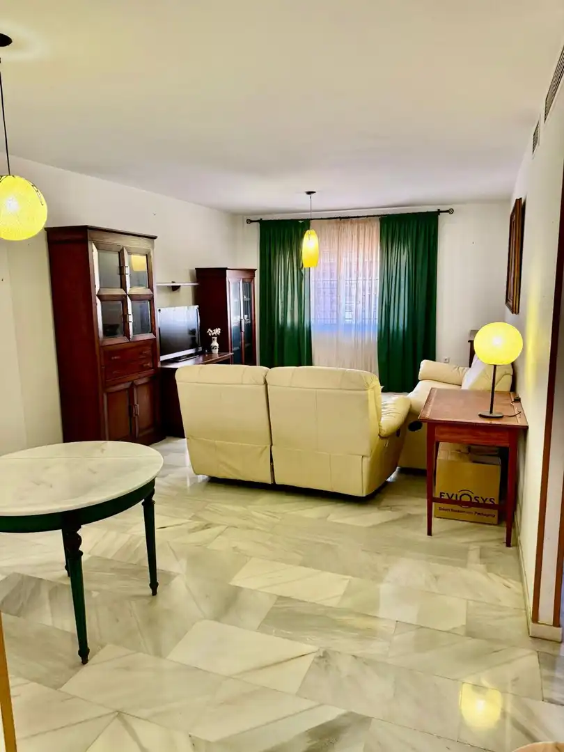 Living room of Apartments for sale in Málaga