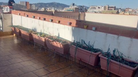 Foto 2 von Dachboden zum Verkauf in El Poble Sec - Parc de Montjuïc, Barcelona Capital