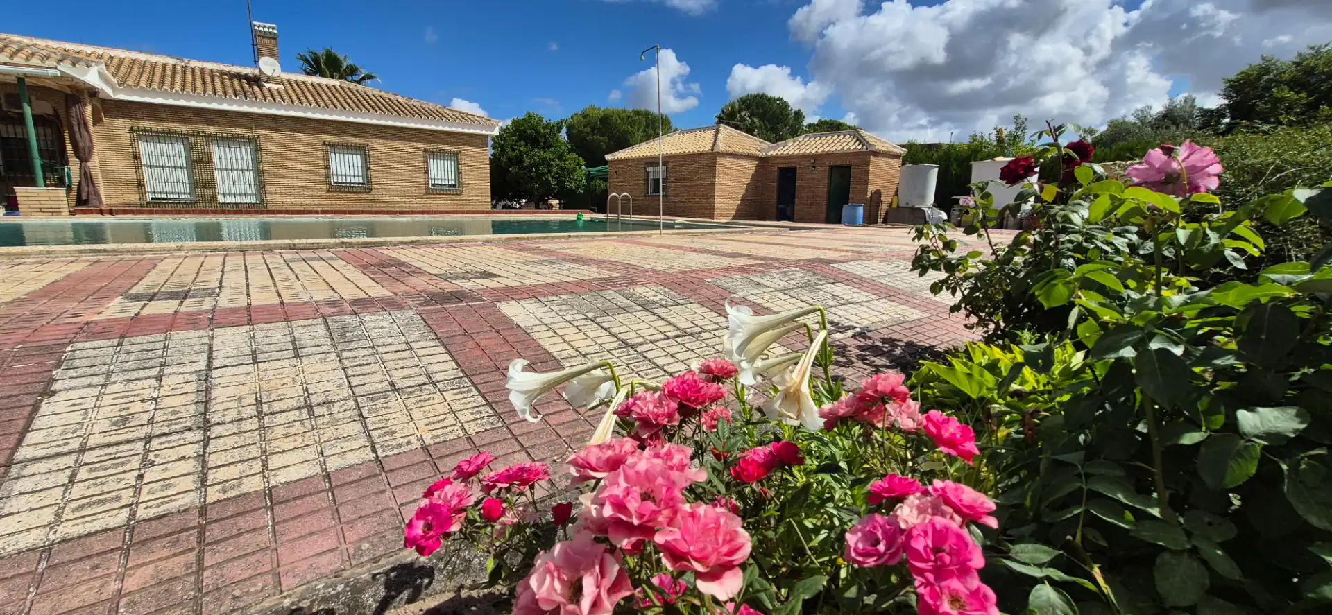 Piscina de Casa o chalet en venta en Carmona con Aire acondicionado, Calefacción y Jardín privado