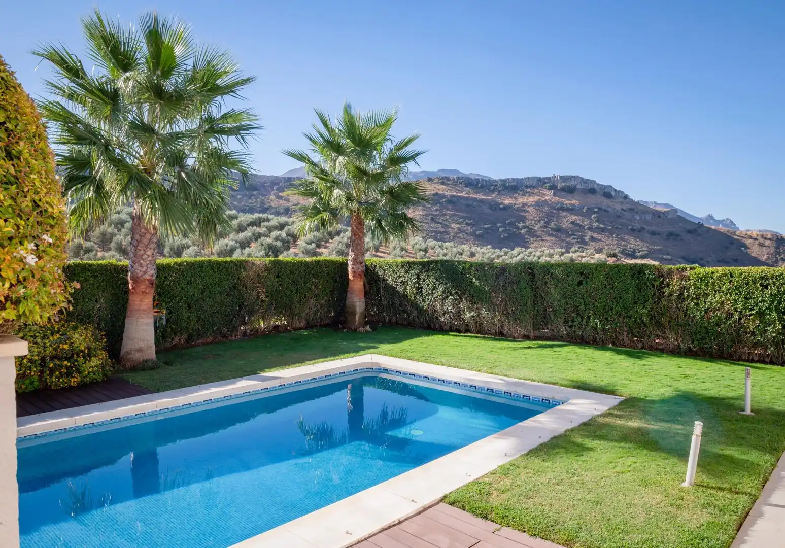 Swimming pool of Houses for sale in Centro