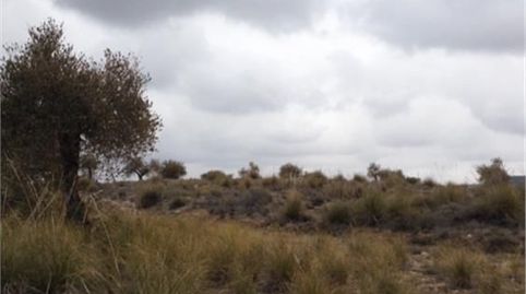 Foto 2 de Terreno en venta en M-311, 37, Chinchón, Madrid