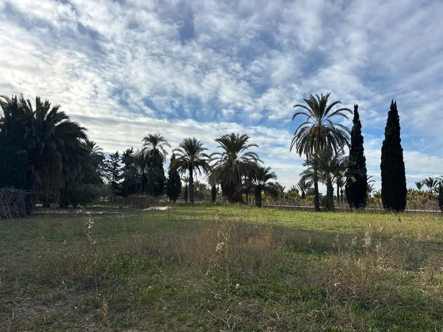 Finca rústica en venda en Elche / Elx