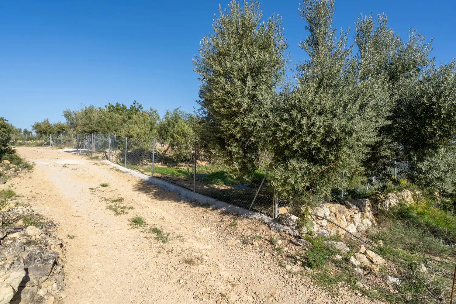 Casa o xalet en venda en Tortosa amb Jardí privat, Moblat i Rentadora