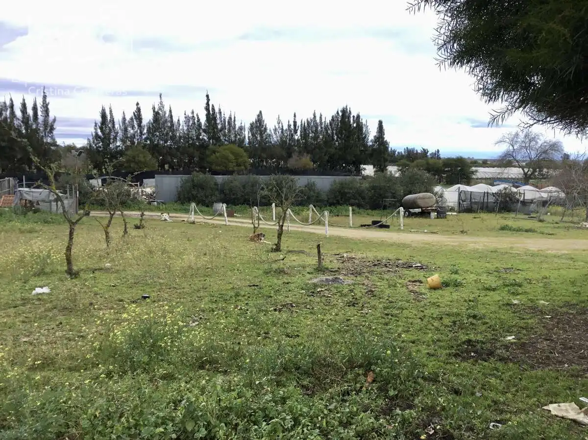 Casa rústica amb piscina en venda a Almonte ciudad, imagen 6