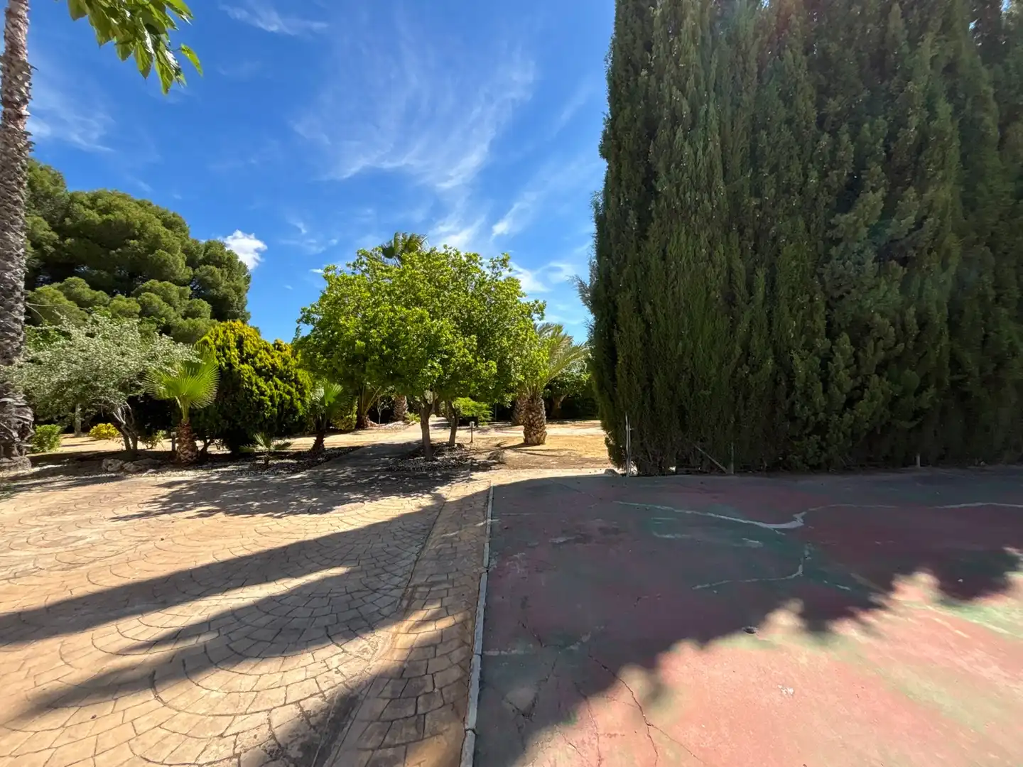 Casa amb piscina en venda a Sax, imagen 40