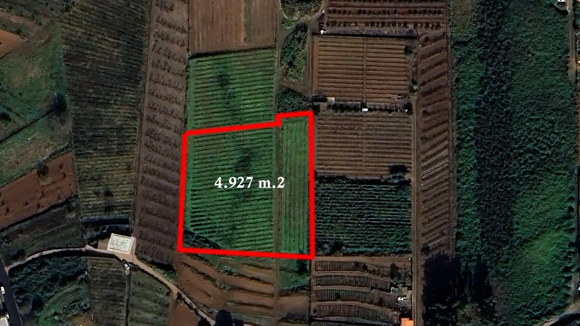 Land for sale in Tacoronte