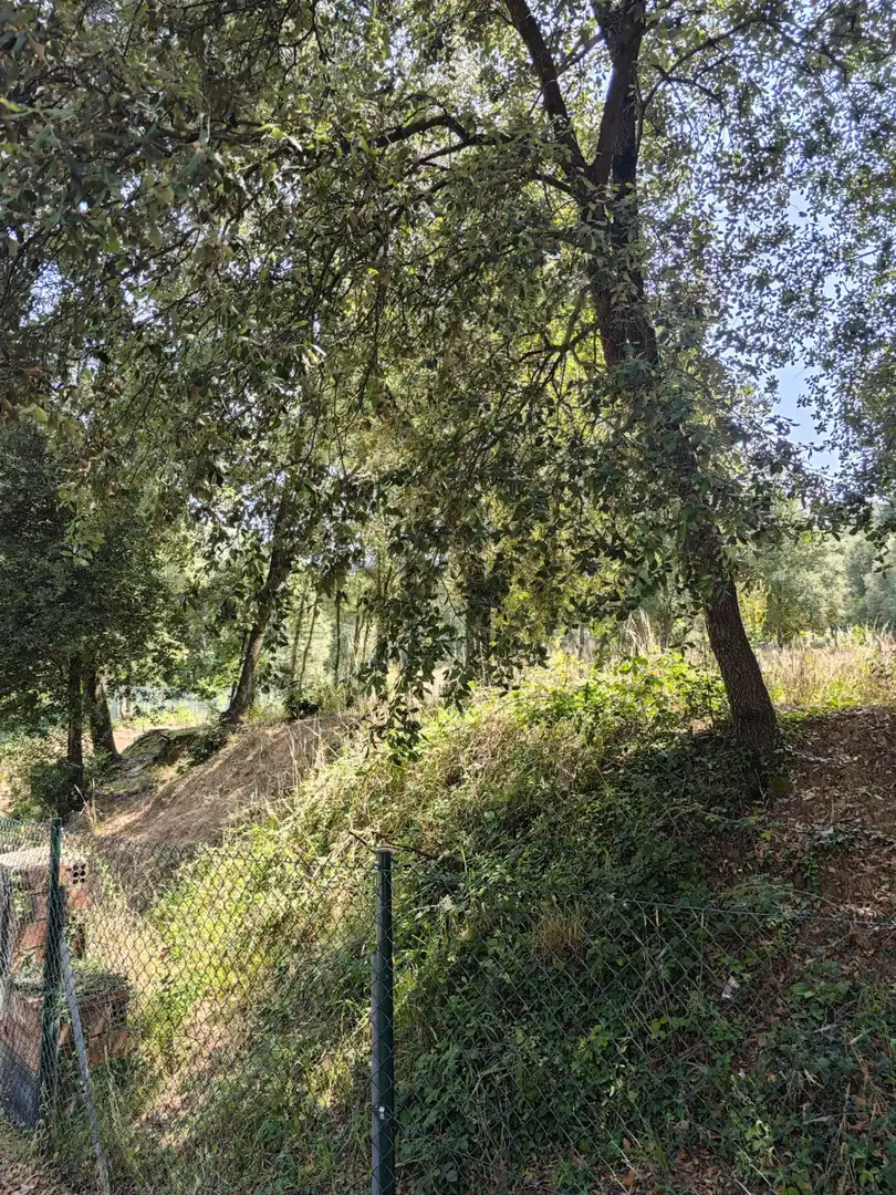 Terrenys i solars en venda a DE SALVADOR ESPRIU, imagen 50