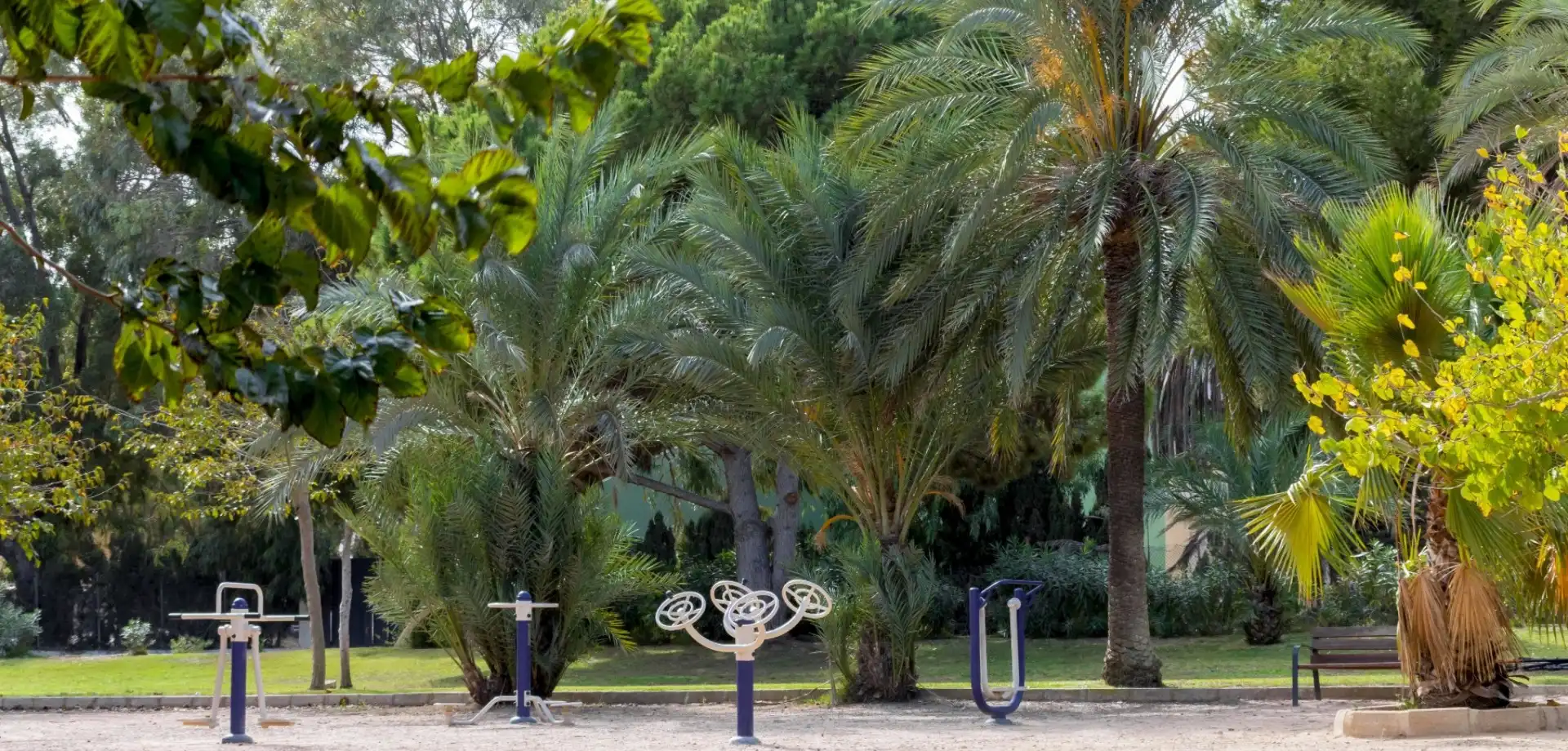 Jardí de Casa o xalet en venda en Orihuela amb Aire condicionat, Terrassa i Moblat