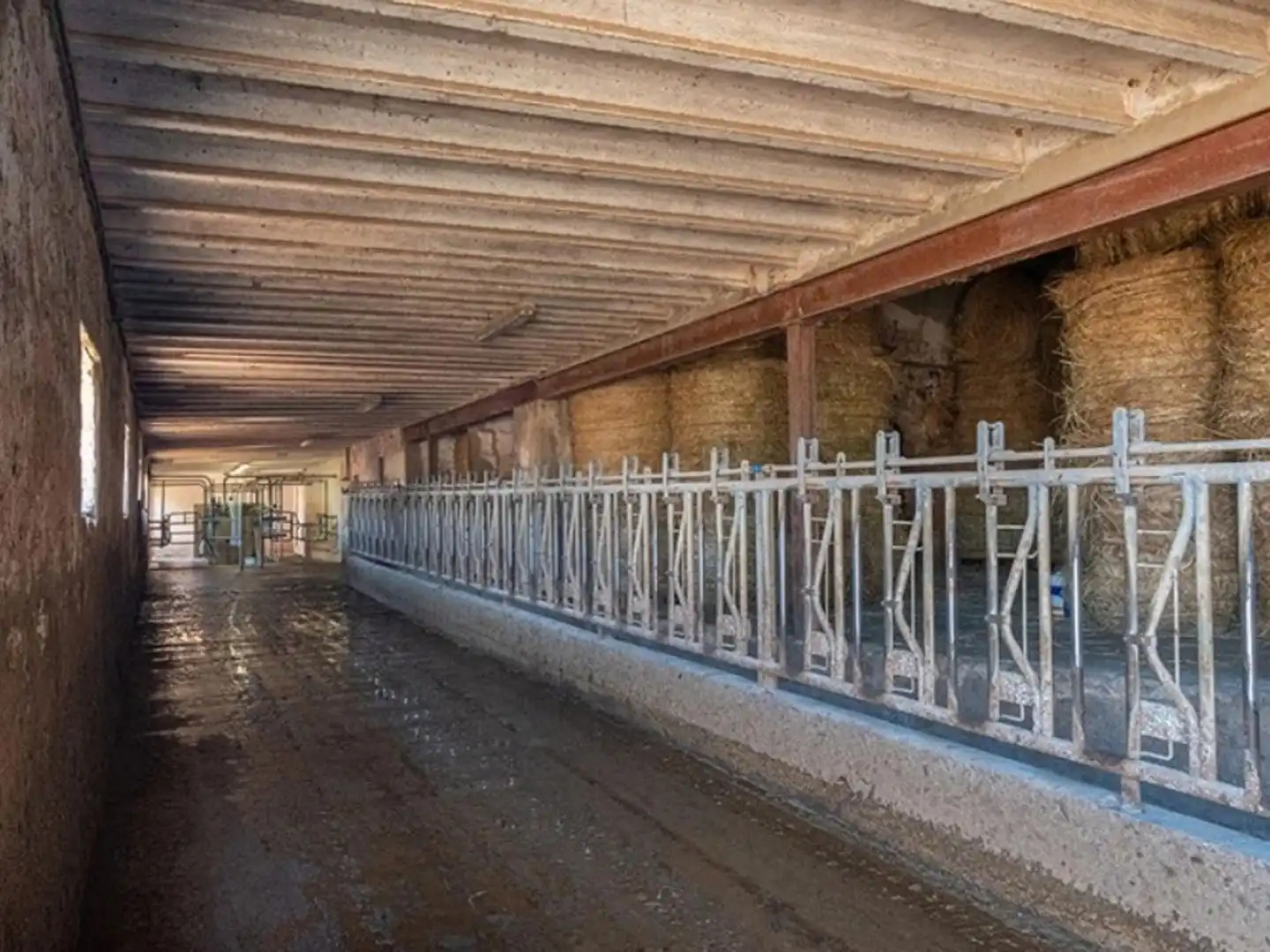 Country homes for sale in Ciutadella de Menorca  with Private garden, Terrace and Storage room