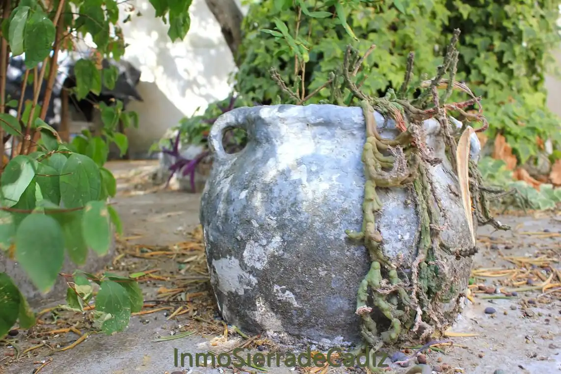 Garden of Houses for sale in Algodonales  with Air Conditioner, Private garden and Storage room