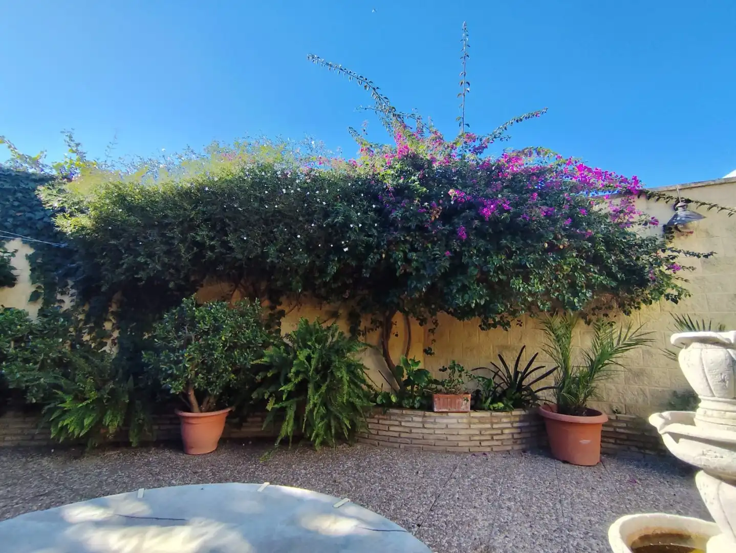 Jardí de Casa o xalet en venda en Hinojos amb Aire condicionat, Calefacció i Jardí privat