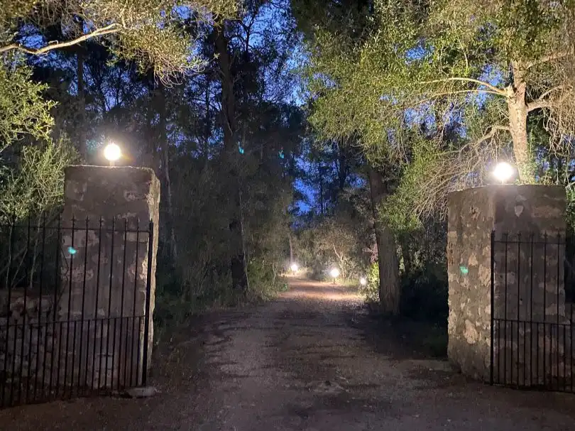 Casa rustica in affitto a Diseminado Diseminados, 3735 parcela 3735, imagen 20