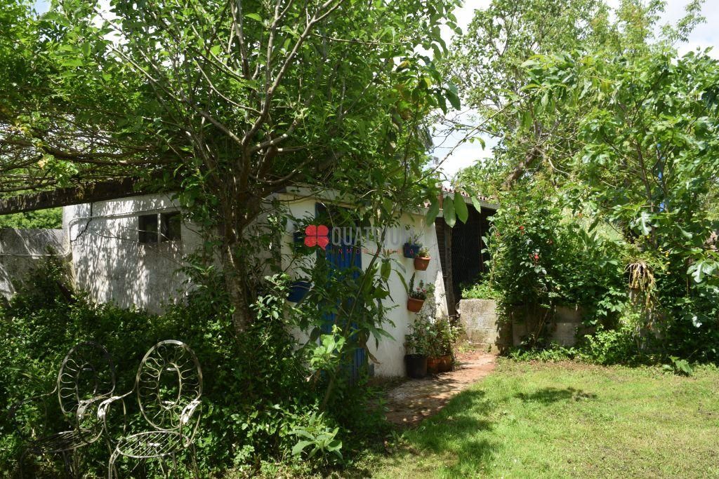 Jardí de Casa o xalet en venda en Santiago de Compostela  amb Piscina