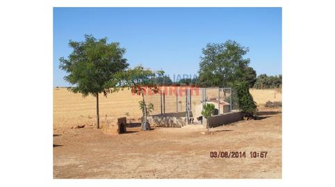 Foto 3 de Casa o xalet en venda a Almedina, Ciudad Real