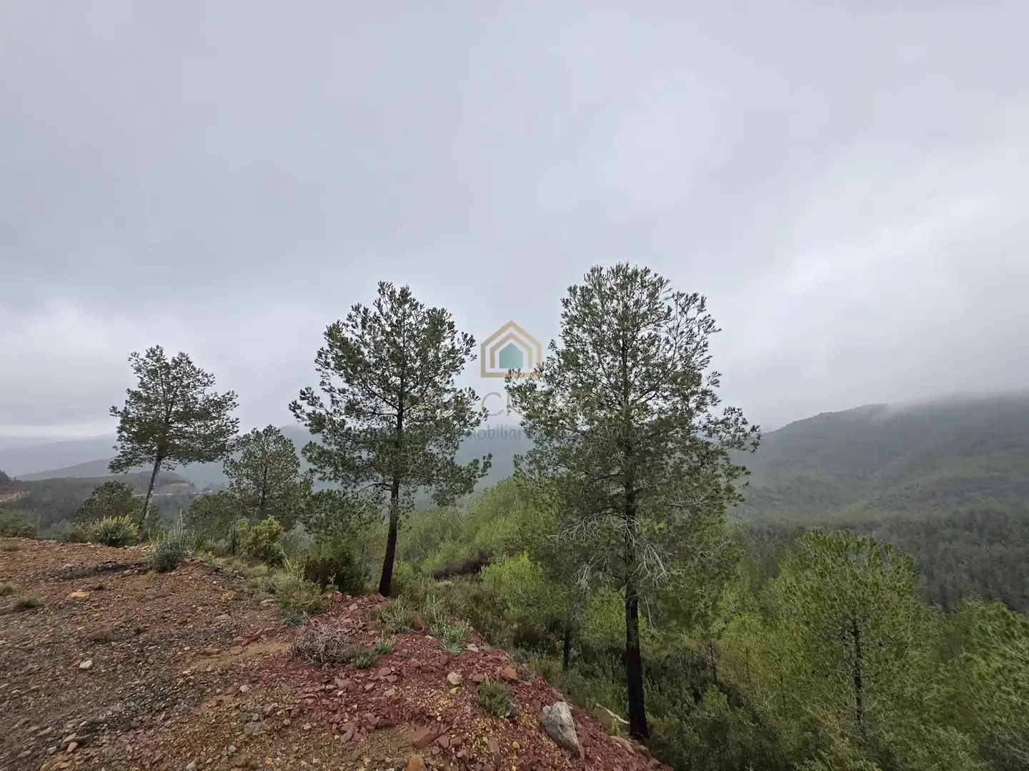 Casa o chalet en venta en Torralba del Pinar