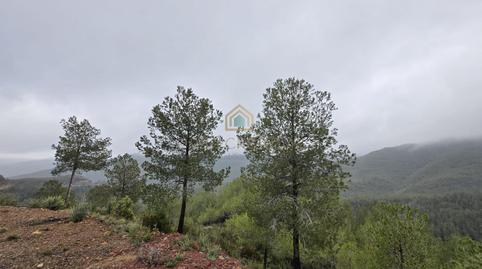 Foto 2 de Casa o xalet en venda a  la Iglesia, Torralba del Pinar, Castellón