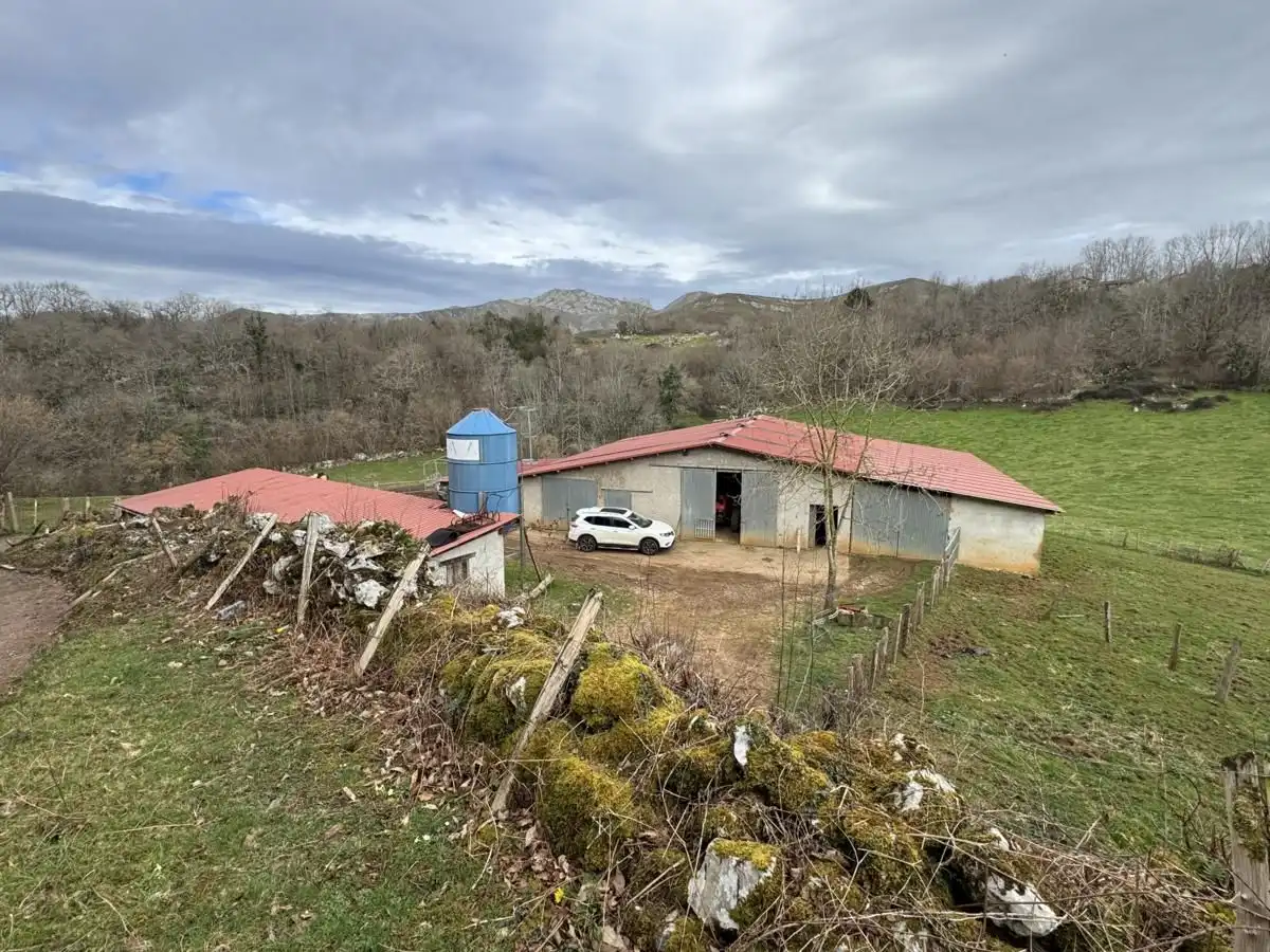Nau industrial en venda en Onís