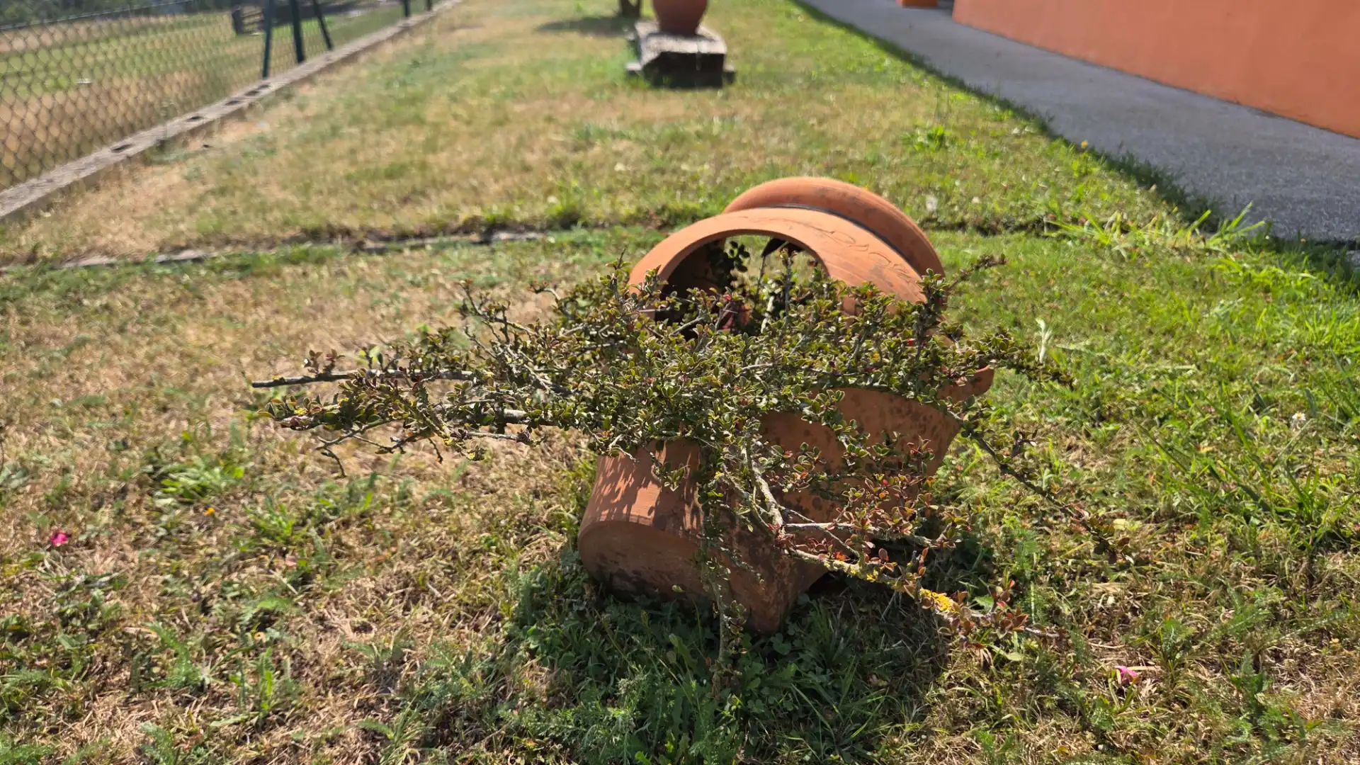 Jardí de Casa o xalet en venda en Pravia amb Calefacció, Jardí privat i Terrassa