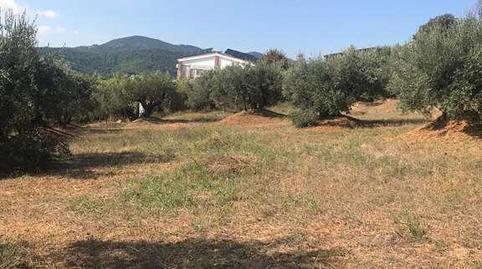 Photo 2 of Land for sale in S.u.b-8, 81, Sn, Can Violí  - Can Poi del Bosc, Barcelona