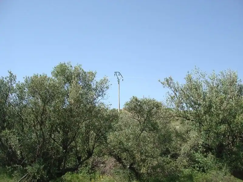 Terreny rústic en venda a Villamediana de Iregua, imagen 2