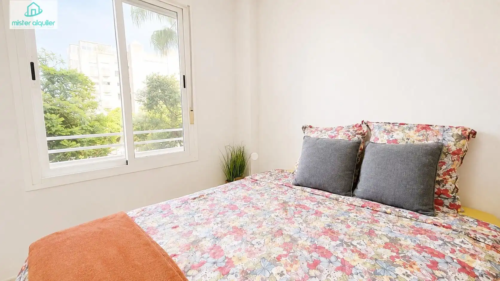 Apartament amb piscina de lloguer a PINTOR FERNANDO SORIA 11, imagen 12