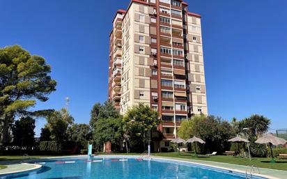 Swimming pool of Flat for sale in La Pobla de Farnals  with Terrace and Balcony