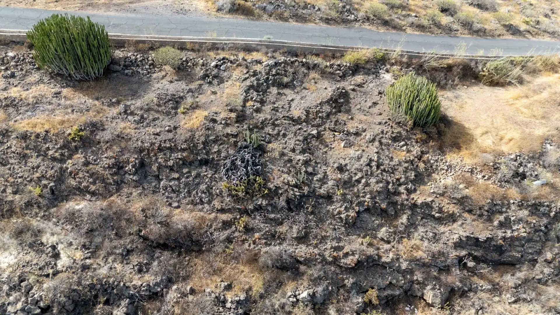 Terreno rustico in vendita a Camino Era Alta 68, imagen 31