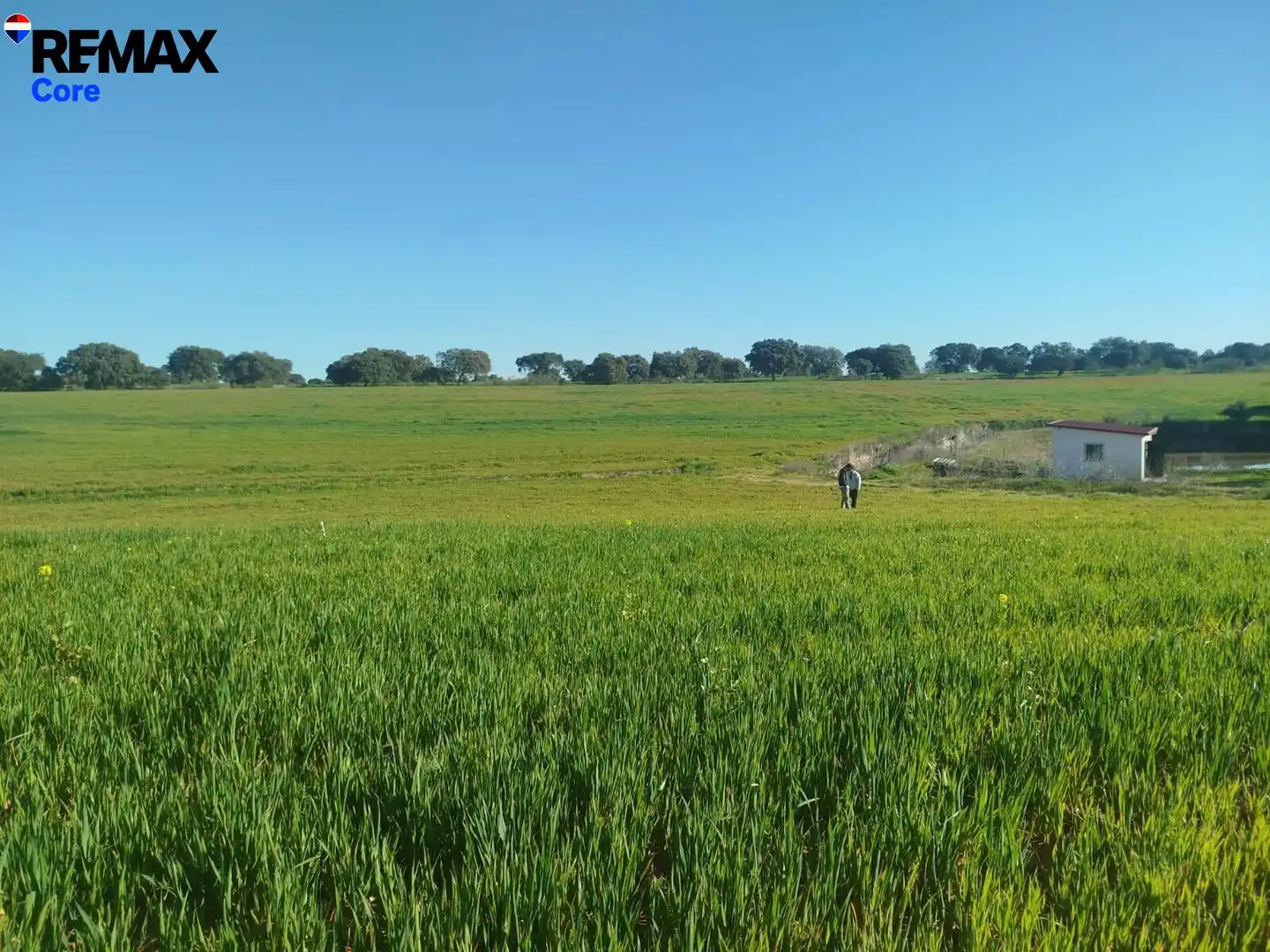Land for sale in Mérida