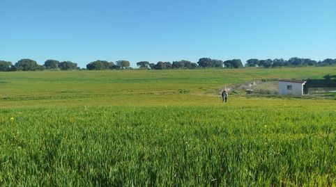 Foto 3 von Grundstücke zum Verkauf in Este, Mérida