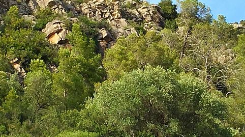 Foto 4 de Finca rústica en venta en Benifallet, Tarragona