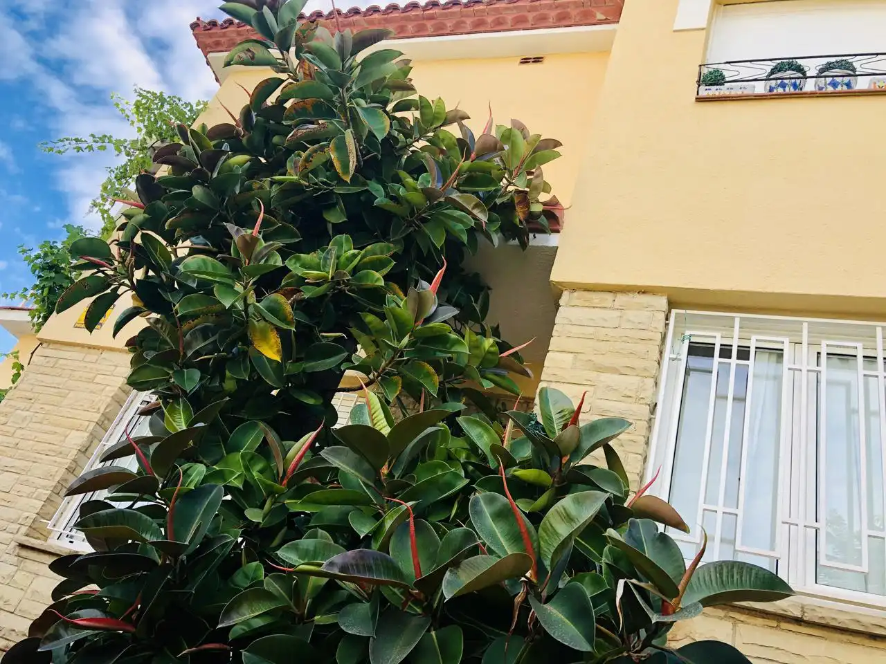 Maison avec terrasse à vendre à Coma-ruga platja, imagen 18