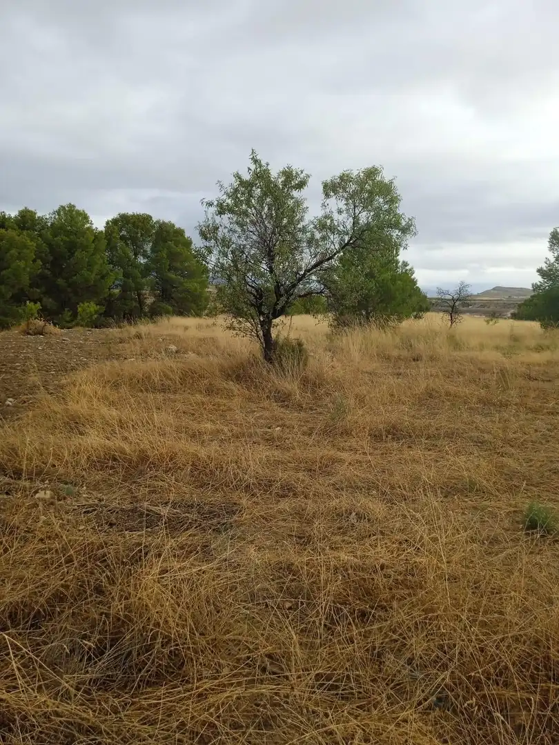 Residential land for sale in Pedanías Norte, imagen 5