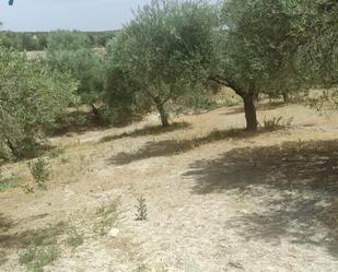 Finca rústica en venda en  Jaén Capital