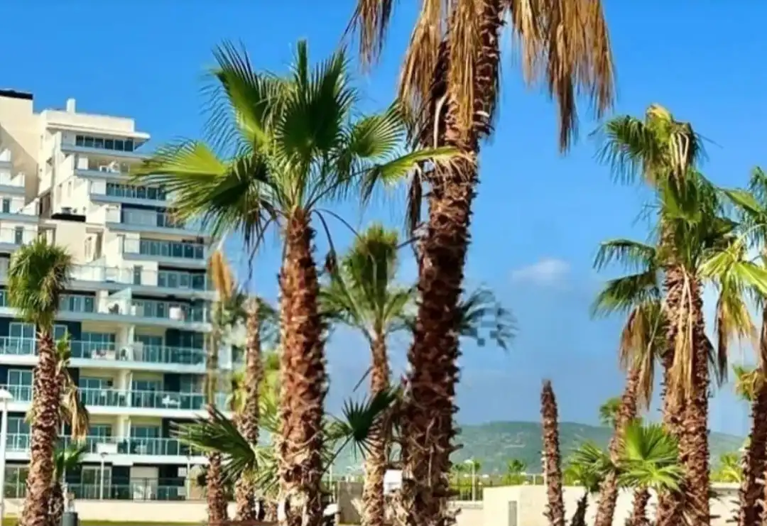 Apartment mit Pool zum Verkauf in Torre la Sal, imagen 3