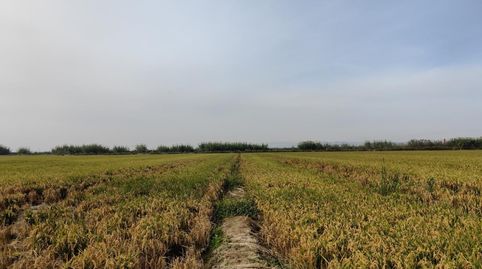 Venta de fincarustica en poligono Polígono, Sollana ValenciaValència, immagine 5