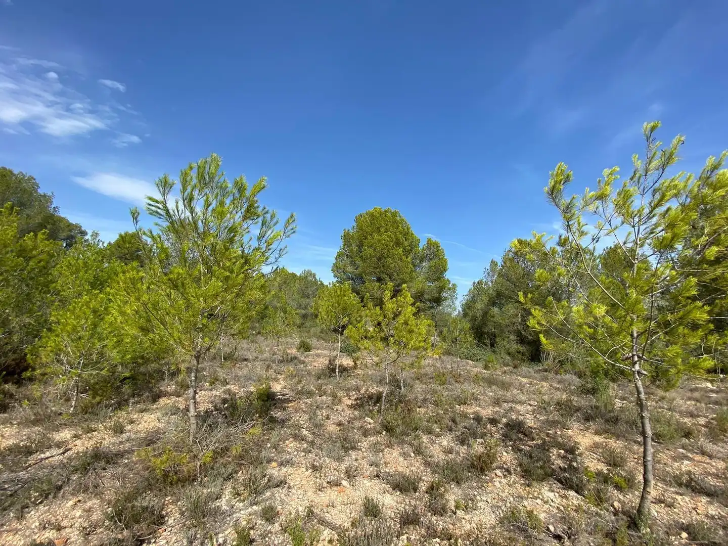 Country homes for sale in Chella
