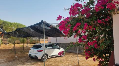 Foto 5 de Casa o chalet en venta en Camino del Alamillo, 2, Lucena del Puerto, Huelva