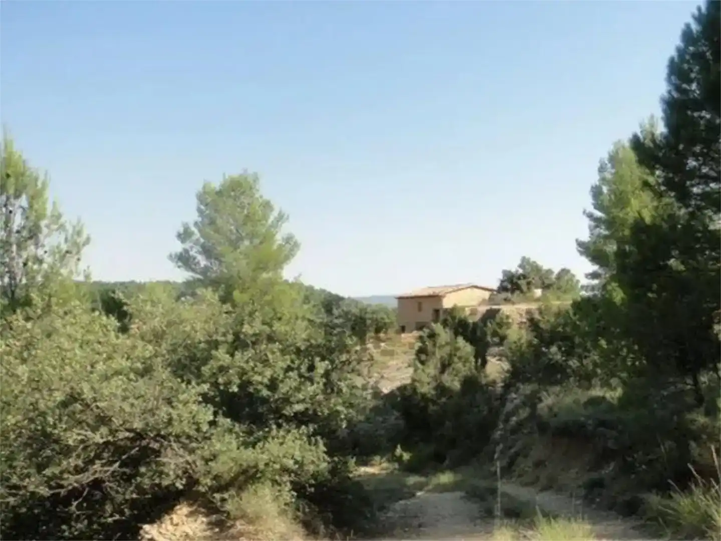 Finca rústica en venda en Peñarroya de Tastavins