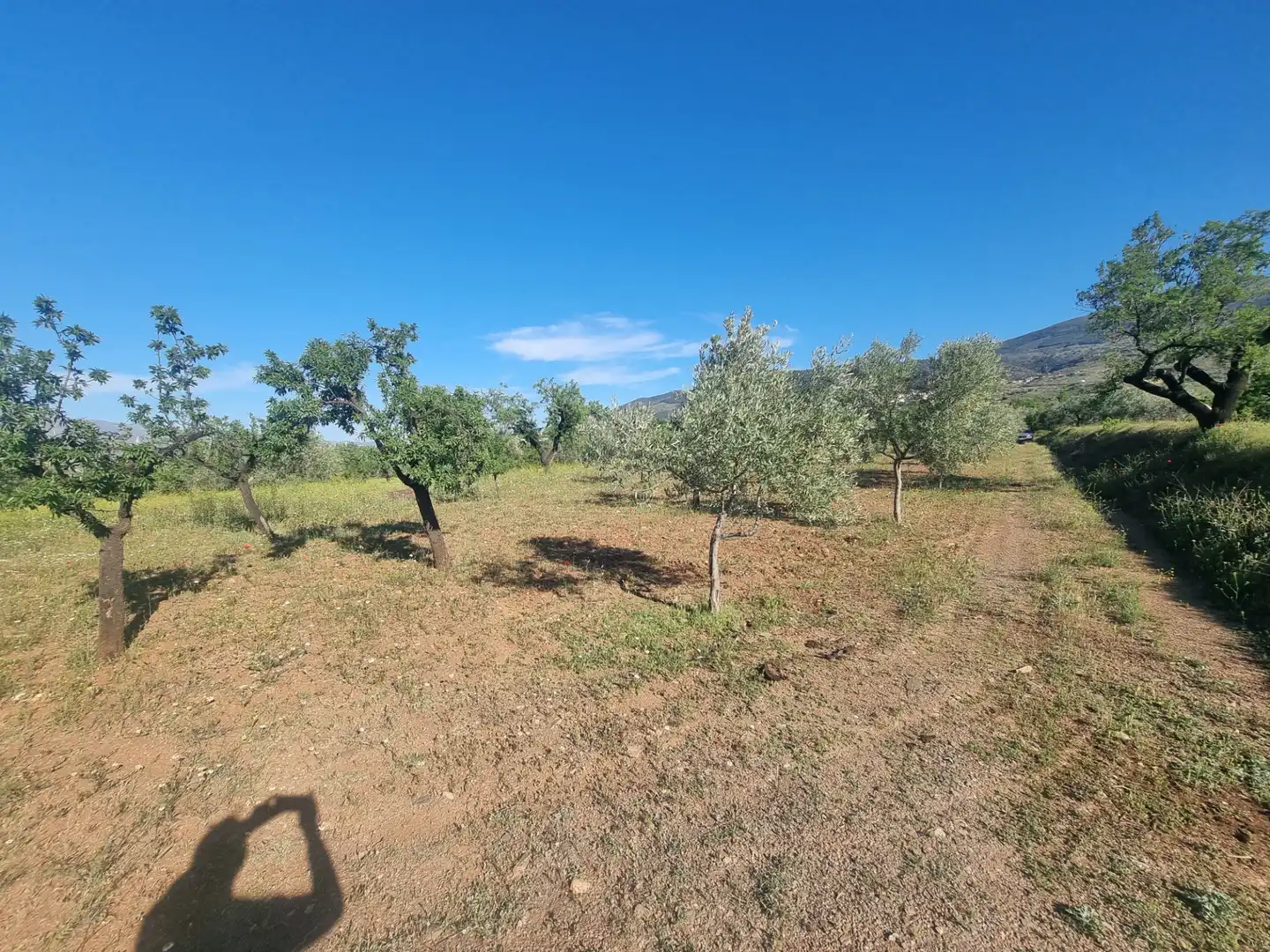 Terreno en venta en Abrucena
