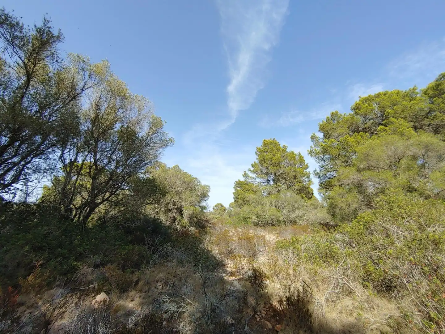Residencial en venta en Polígono Parcela 12, Cala Pi - Vallgornera
