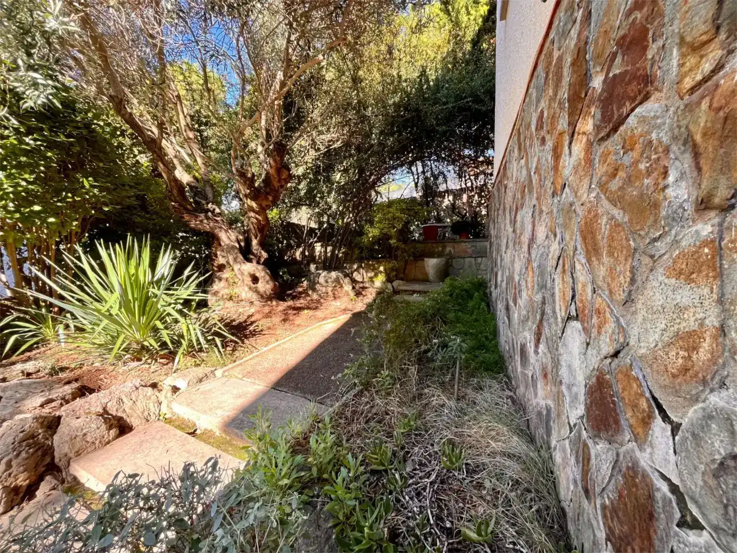 Jardín de Casa o chalet en venta en Begues con Aire acondicionado, Piscina y Balcón