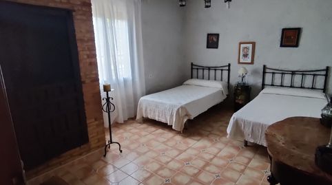 Venta de Espectacular Chalet Independiente con Parcela de 6.000 m², imagen 2