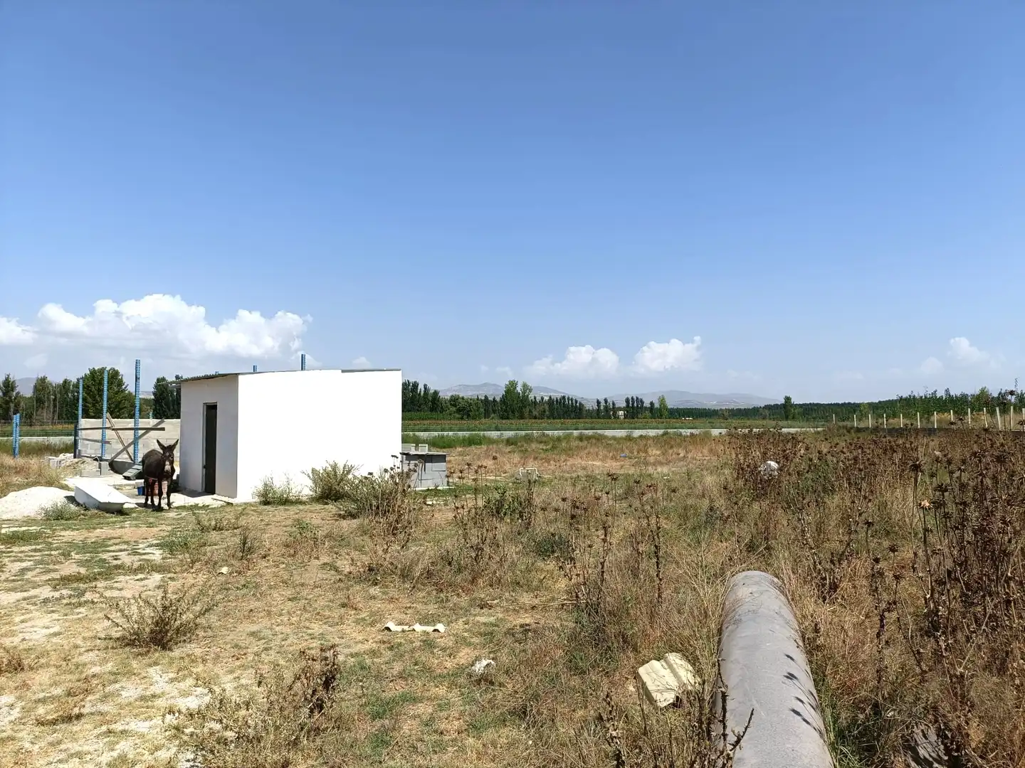 Terrains et parcelles à vendre à Fuente Vaqueros, imagen 5