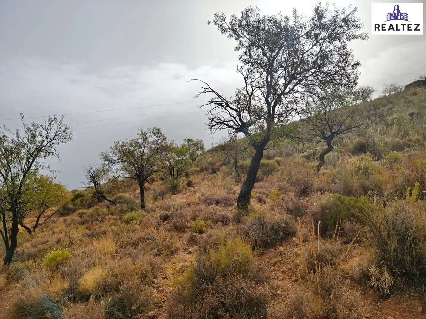 Terrain rustique à vendre à Alcolea, imagen 7