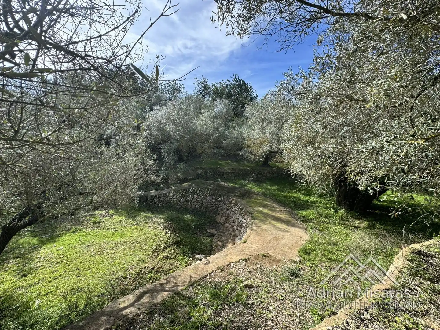 Terreno rústico en venta en L'Aldea, imagen 25