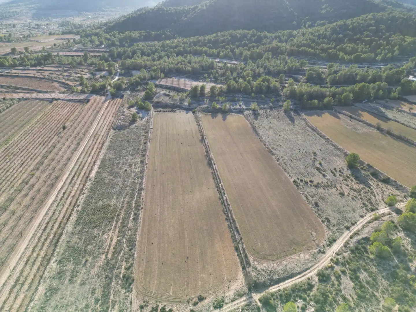 Terreny residencial en venda a Monóvar  / Monòver, imagen 14